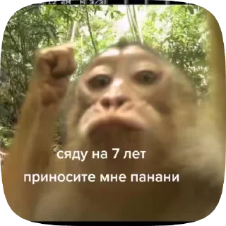 Sticker from Бибизяки Ахуяки от @dMREamQW