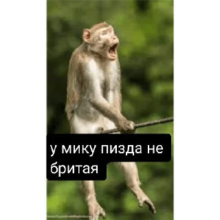 🤨 emoji Мику параша Telegram sticker 10 of 13