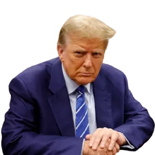 🤔 emoji Donald Trump Telegram sticker 21 of 35