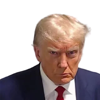🫥 emoji Donald Trump Telegram sticker 6 of 35