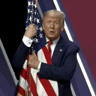 🇺🇸 emoji Donald Trump Telegram sticker 15 of 35