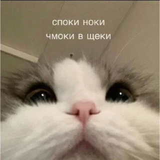 🩷 emoji стикерпак мпули Telegram sticker 12 of 89