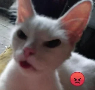 😡 emoji Kitty Telegram sticker 22 of 44