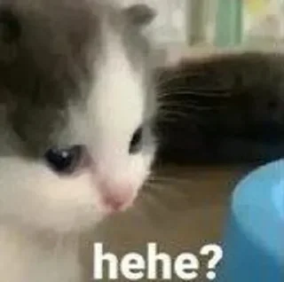 ❓ emoji Кисëши^^ Telegram sticker 7 of 67