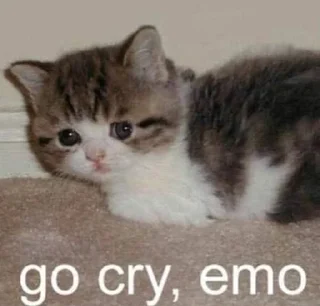😢 emoji lin4kinpark Telegram sticker 17 of 55