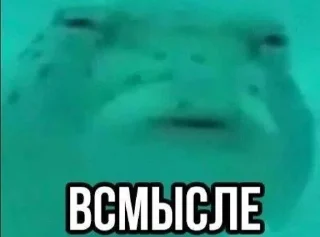 Sticker from Миша ахуел