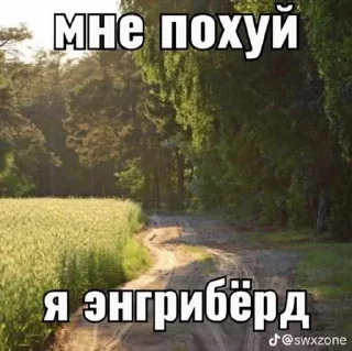 🐦 emoji убейте меня Telegram sticker 24 of 108