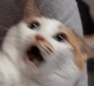 🙀 emoji Юзальный пак Соласа — @stckrRobot Telegram sticker 24 of 115
