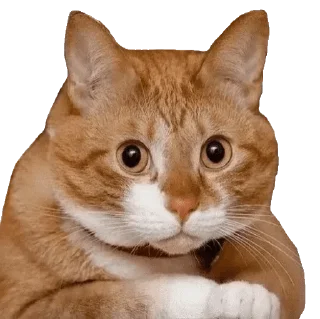 🌚 emoji Юзальный пак Соласа — @stckrRobot Telegram sticker 20 of 115