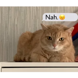 😒 emoji вы все рабы персика Telegram sticker 9 of 22