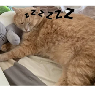 😴 emoji вы все рабы персика Telegram sticker 13 of 22