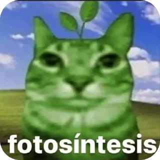 🫥 emoji Черепашка Telegram sticker 8 of 72