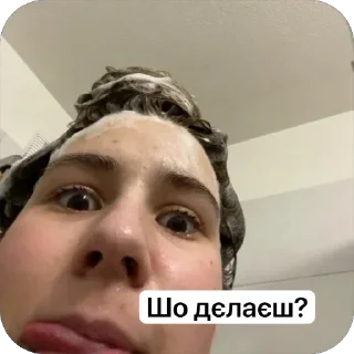 🫥 emoji Черепашка Telegram sticker 15 of 72