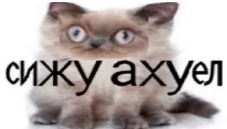 🤯 emoji Просто МЕМАСИКИ Telegram sticker 16 of 120