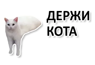 😎 emoji ЕБАНОЕ КАЗИНО Telegram sticker 20 of 120