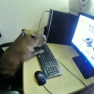 Sticker from CAPYBARA