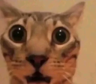 😦 emoji Слава Україні Telegram sticker 23 of 108
