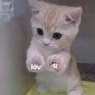 😣 emoji ты не картошка.. Telegram sticker 17 of 27