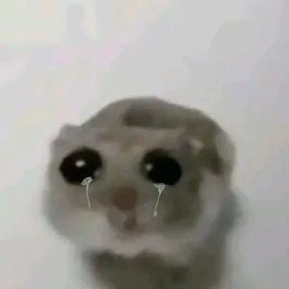 🌟 emoji Всратые животные Telegram sticker 9 of 28