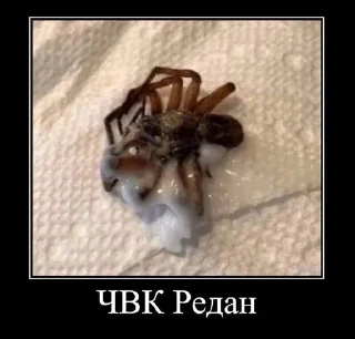 Sticker from Я еблан
