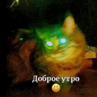 💥 emoji МАСЯ💥💣💥💣💣💥💣💥💣 Telegram sticker 24 of 24