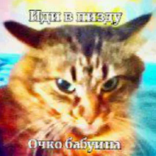 💥 emoji МАСЯ💥💣💥💣💣💥💣💥💣 Telegram sticker 20 of 24