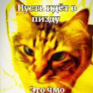 💥 emoji МАСЯ💥💣💥💣💣💥💣💥💣 Telegram sticker 15 of 24