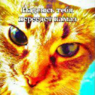 💥 emoji МАСЯ💥💣💥💣💣💥💣💥💣 Telegram sticker 9 of 24