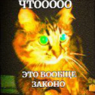 💥 emoji МАСЯ💥💣💥💣💣💥💣💥💣 Telegram sticker 14 of 24