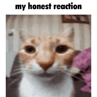 😁 emoji Стікери від кваса. Telegram sticker 5 of 111