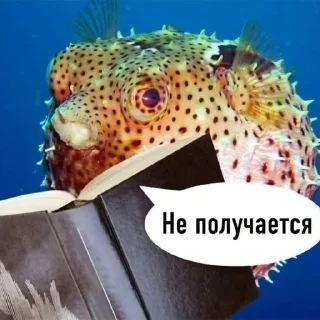 Sticker from рыбывнепонятках