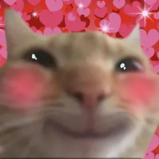 🐻 emoji pupupu Telegram sticker 22 of 75