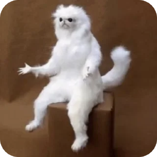 🐱 emoji zhibek, @mitaiao Telegram sticker 4 of 51