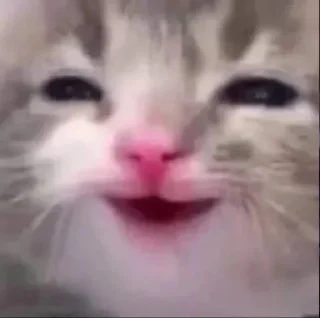 🌟 emoji шок Telegram sticker 24 of 42