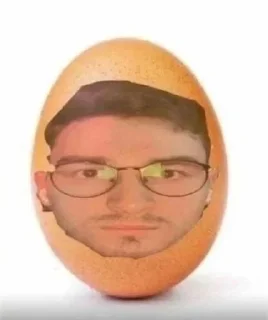 🥚 emoji Брайн мопс Telegram sticker 16 of 21