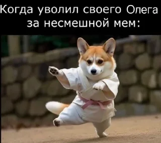 🥰 emoji Брайн мопс Telegram sticker 7 of 21