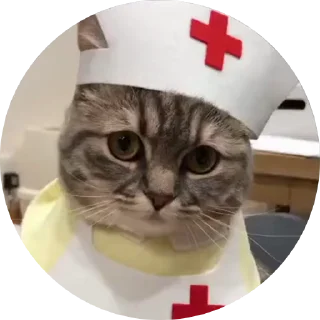 🤩 emoji Кокоа кружки от @Cocoa_Fans / @Cocoa_Fan @TgEmodziBot Telegram sticker 6 of 10