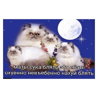 🗣 emoji приколы Telegram sticker 14 of 50