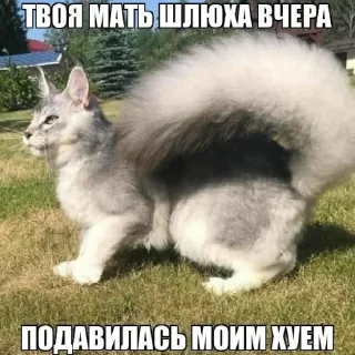 👍 emoji Приколы Telegram sticker 12 of 120