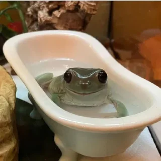 🛁 emoji ✨Животный мир✨ Telegram sticker 2 of 26