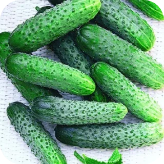 🥦 emoji Еда Telegram sticker 21 of 31