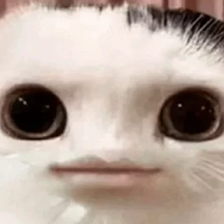😑 emoji 💕Стики тут: @sekstick Telegram sticker 20 of 45