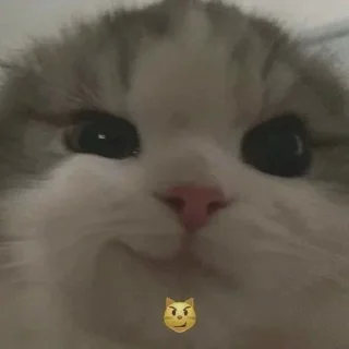 ❤️ emoji @anime_stickerr Telegram sticker 9 of 15