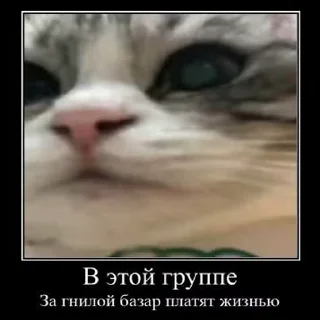 ☠ emoji Лучьше стикеры - @lovesticers Telegram sticker 7 of 50