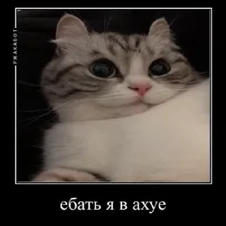 😱 emoji Лучьше стикеры - @lovesticers Telegram sticker 18 of 50