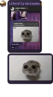 🇬🇹 emoji 𝙼𝙰𝙵𝙸𝙰 𝙲𝙷𝙰𝚃💜 pack by @QuotLyBot Telegram sticker 14 of 120