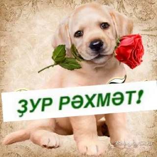 🥰 emoji :DD Telegram sticker 20 of 65