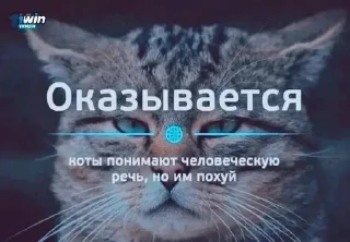 🌟 emoji Стикеры для общения-гулянок Telegram sticker 12 of 18