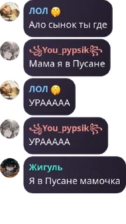 👩‍🤝‍👩 emoji Цитаты чо ли ➡️ @Ctikerubot Telegram sticker 17 of 44
