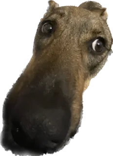 🫠 emoji Шани и Вася Telegram sticker 19 of 39